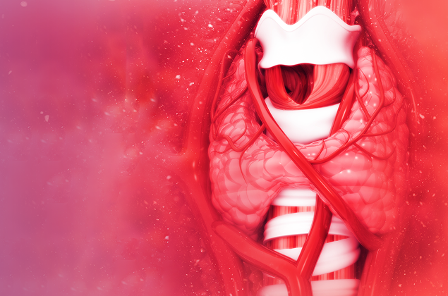 Integrative physiology and pathology of the thyroid gland, thyroid hormone metabolomics. Genomic and nongenomic effects of the thyroid hormones. Central and peripheral action mechanisms of the thyroid hormones. Carcinogenesis and thyroid dysfunction.