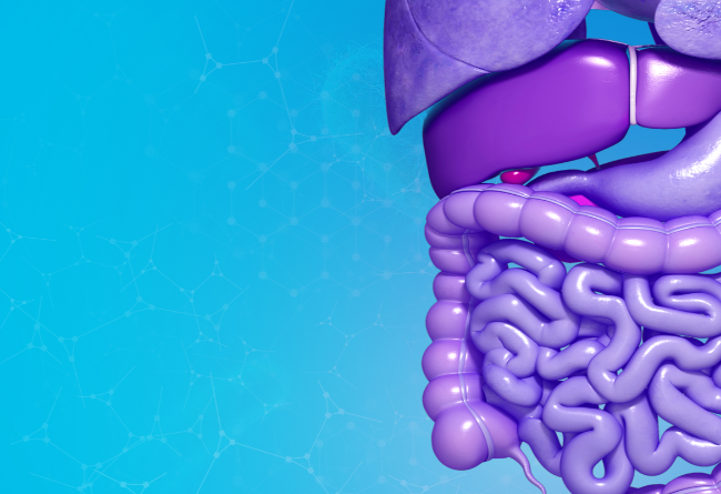 GI physiology and pathology. The microbiome and its correction. Autoimmune diseases.