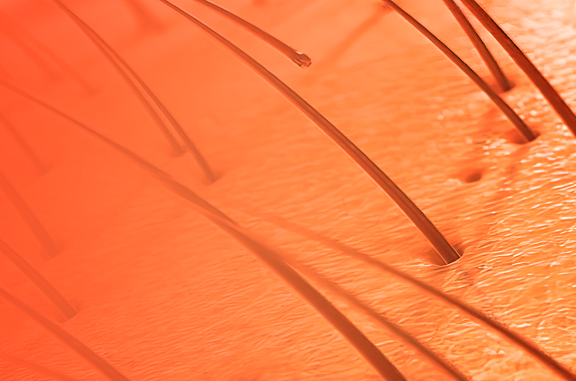 Age-related changes in skin, hair, nails and mucous membranes. A new perspective on physiology and pathology. Pharmacotherapy in anti-aging medicine. Personalized medicine and personalized prescriptions.