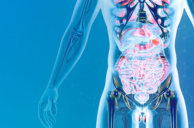 Physiopathology of the male endocrine system at different ages. Age-related changes and their correction using anti-aging approaches. Sexopathology and chronic fatigue syndrome in men. Male reproductive problems from an anti-aging perspective.