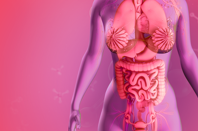 Physiopathology of the female endocrine system at different ages and methods of correction. Women’s health and borderline tumors. Interdisciplinary approach in the treatment of endometriosis, uterine myomas and benign processes of the pelvic organs.